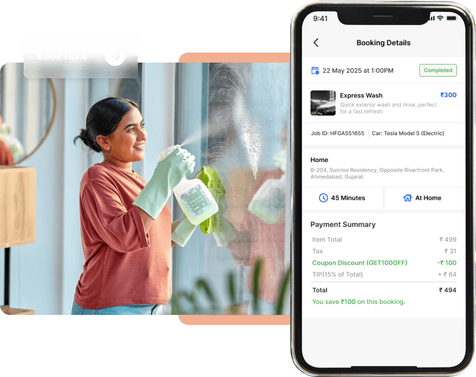 SaaS Cleaning  Business Interface